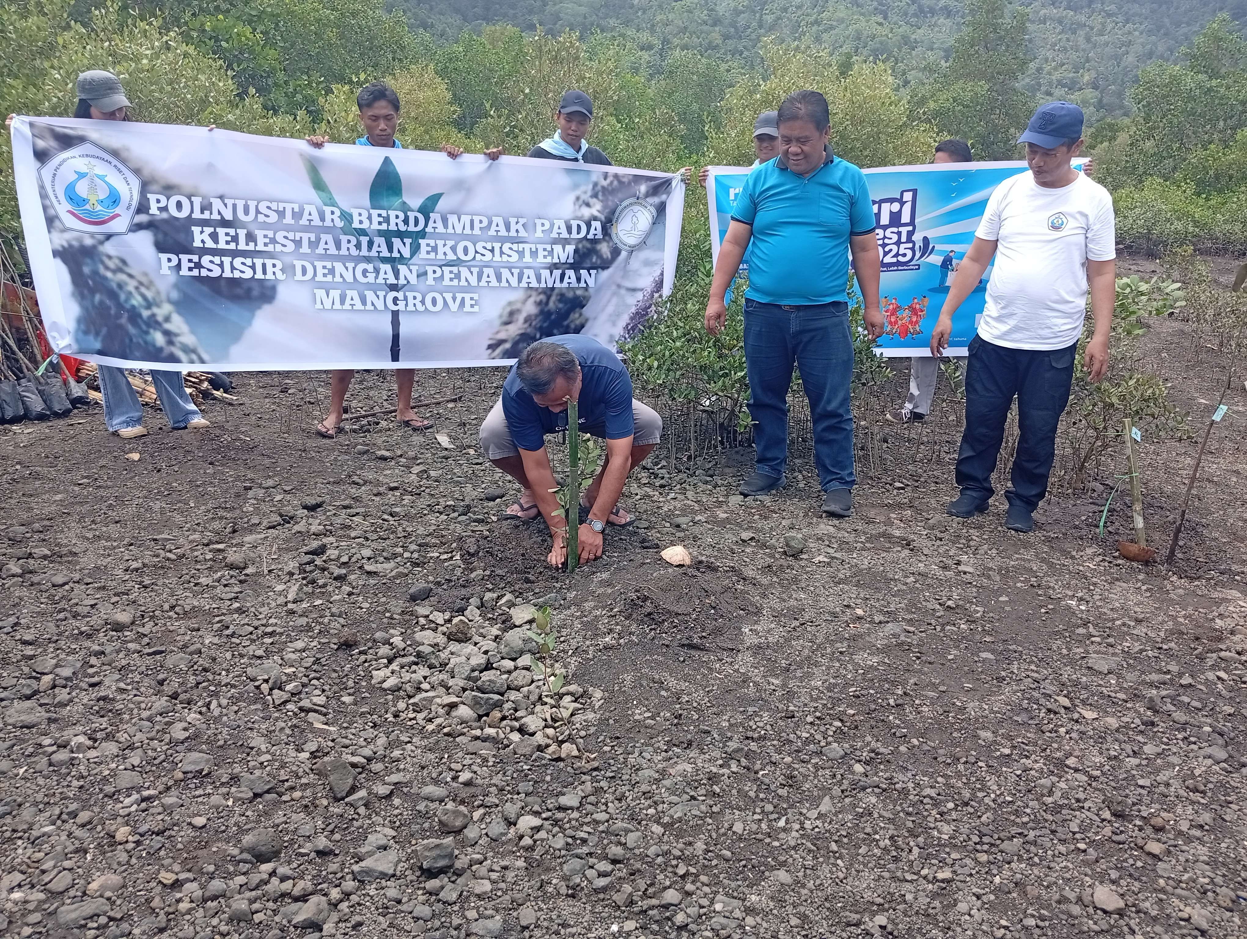 Kolaborasi Polnustar dan RRI Tahuna untuk Kelestarian Pesisir melalui Penanaman Mangrove